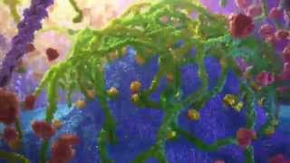 Inner Life of a Cell  Protein Packing Animation [upl. by Edmund]