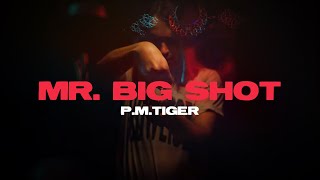 PMTiger quotMr Big Shotquot Official Music Video [upl. by Asiled163]