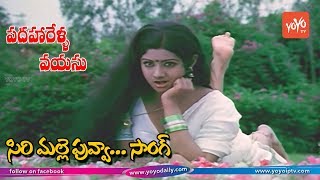 Sirimalle Puvva Video Song HD  Padaharella Vayasu Movie Songs  Sridevi  YOYO TV Music [upl. by Monto]