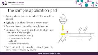 Lateral Flow Webinar A Guide to Lateral Flow Immunoassay Development [upl. by Deehsar269]