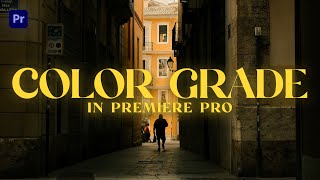 How To Color Grade Your Videos in Premiere Pro  How to use LUTS [upl. by Ybor]