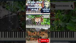 Edvard Grieg  In the Hall of the Mountain King Peer Gynt Suite Piano Tutorial shorts [upl. by Hoopes]