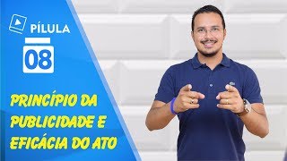 🔴 Pílula  9  Entes federativos e suas autonomias [upl. by Kokaras]