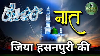 zeya Hasanpuri ki Naat। Madudabad Jalsa। naat kalam video song viral trending yt ytstudio [upl. by Lusty]