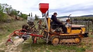 Roulage dun couvert féverole et travail du cavaillon dans lAude [upl. by Langbehn]