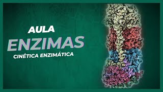 ENZIMAS  Cinética Enzimática [upl. by Eelesor740]