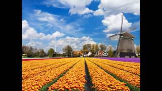 Strandhotel Bos en Duin in Oostkapelle Seeland  Niederlande Bewertung und Erfahrungen [upl. by Suhcnip]