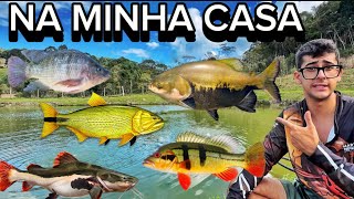 TODAS AS 32 ESPÉCIES DE PEIXES QUE CRIO NO MEU LAGO [upl. by Ahsaenat]