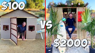 100 vs 2000 Tiny House BUDGET CHALLENGE [upl. by Lonna]