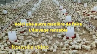 Une autre manière très rentable de faire lélevage de poulets [upl. by Imiaj]