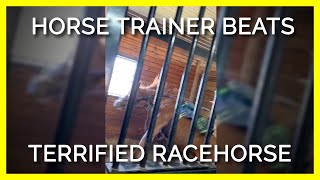 EXPOSED Horse Trainer Screams at Terrifies and Beats Young Racehorse [upl. by Ynnej148]