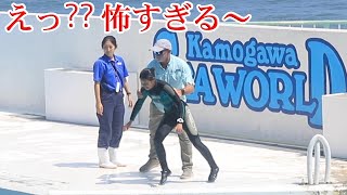 トレーナーさんが 鴨川シーワールド シャチ Kamogawa Sea World [upl. by Waldman]