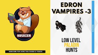 Edron Vampires 3  215 kh raw  50 Paladin  Tibia Hunting Guide [upl. by Druci]