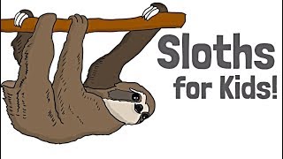 Sloths for Kids [upl. by Glennon]