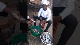 african chef clinging fish shorts [upl. by Natsreik610]