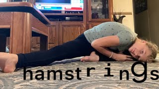 Hamstring stretch [upl. by Huckaby245]