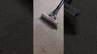 Stanley Steemer Carpet Deep Cleaning [upl. by Adalia]