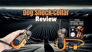 How Effective is the PAWPRO Dog Shock Collar for Training Your Dog  Review [upl. by Delaney]