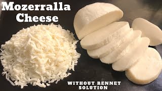 Mozzarella Cheese How To Made  Mozzarella At Home Simple amp Easy Method [upl. by Ellenej]