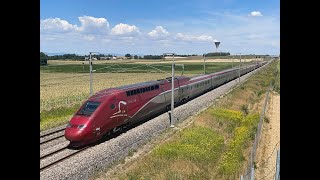 High speed train TGV Thalys AVE OUIGO InOui frecciarossa in France [upl. by Naujid]