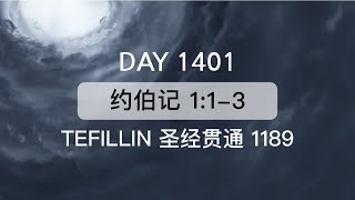 Tefillin Day 1401 约伯记 113 宣布圣经 5次 [upl. by Skelton]