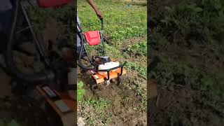 71cc mini weeder RS 19500 9787672239 Melur Madurai TN India 3 [upl. by Pilloff]