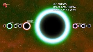 Nearest Black Holes to Earth A Journey Into a Black Hole [upl. by Dottie]