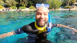 Im Back at Discovery Cove An AllInclusive Day Experience in Orlando [upl. by Houston105]