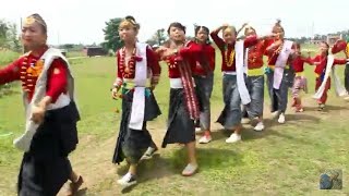 sakela dance song l rai sakela song [upl. by Imac919]