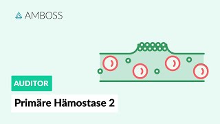 Primäre Hämostase  Teil 2  Physiologie und Medikamente  AMBOSS Auditor [upl. by Cown]