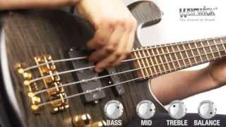 The Warwick Streamer Jazzman 4String  Product Demo with Ove Bosch [upl. by Lindner415]