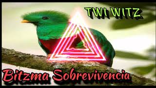 Tal Qalan Twi Witz Bitzma Sobrevivencia [upl. by Rebm]