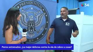 Perros entrenados ¿La mejor defensa contra la ola de robos a casas [upl. by Towne]