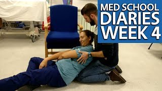 Year 1 Week 4 Graduate Entry Medicine  Warwick Medical School  PostGradMedic [upl. by Jill]