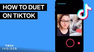 How To Duet On TikTok [upl. by Deppy18]