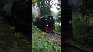 Reichsbahndampf auf der Selketalbahn  99 7240 mit Rollwagen [upl. by Assilym]