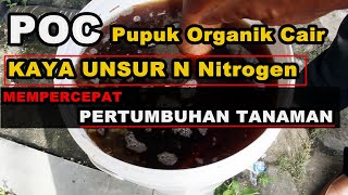 Membuat Pupuk Organik Cair Kaya Unsur N Nitrogen  Mempercepat Pertumbuhan Tanaman [upl. by Gallagher]