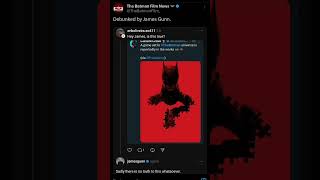 Game Set In The Batman Universe DEBUNKED By JAMES GUNN batman [upl. by Nagaer879]