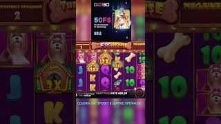 СОБАКИ ДОЛЖНЫ СКОРО ДАТЬ ЧУВСТВУЮ ЭТО slots casino slot топ jackpot bigwin slotmachine win [upl. by Asirralc]