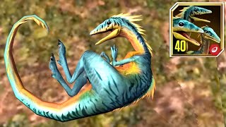 NEW COMPSOGNATHUS UNLOCKED MAX LEVEL 40 FIRSTLOOK PVP BATTLES Jurassic World The Game [upl. by Nwahsek]