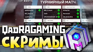 СКРИМЫ с Тренером LG Xeon  Игры с Подписчиками  qadRaT Apex Legends Стрим [upl. by Noiwtna]