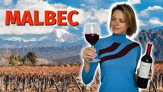 Wine Grapes 101 MALBEC [upl. by Pammi936]