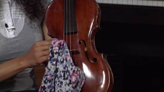 How to Play the Viola [upl. by Anul]