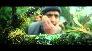 Raavanan Full Movie Part 2 [upl. by Aset]