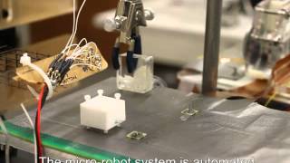 Magnetically Actuated MicroRobots for Advanced Manipulation Applications [upl. by Jenny]