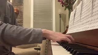 Mariners Apartment Complex  Lana Del Rey Piano Cover [upl. by Enitsahc61]