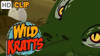 Wild Kratts  Operation Crocodile Nest [upl. by Johnathan]