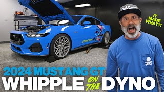 IT MADE WHAT Whipple Supercharged 2024 Mustang GT on the dyno [upl. by Swartz]