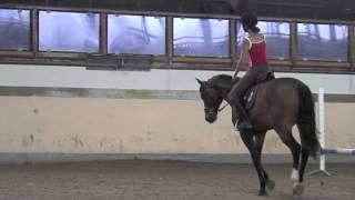 Galop 2 Galoper sur le bon pied [upl. by Nichani]