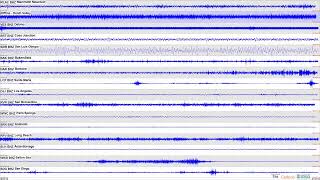 SCSN Live Seismograms Feed [upl. by Aihsema187]